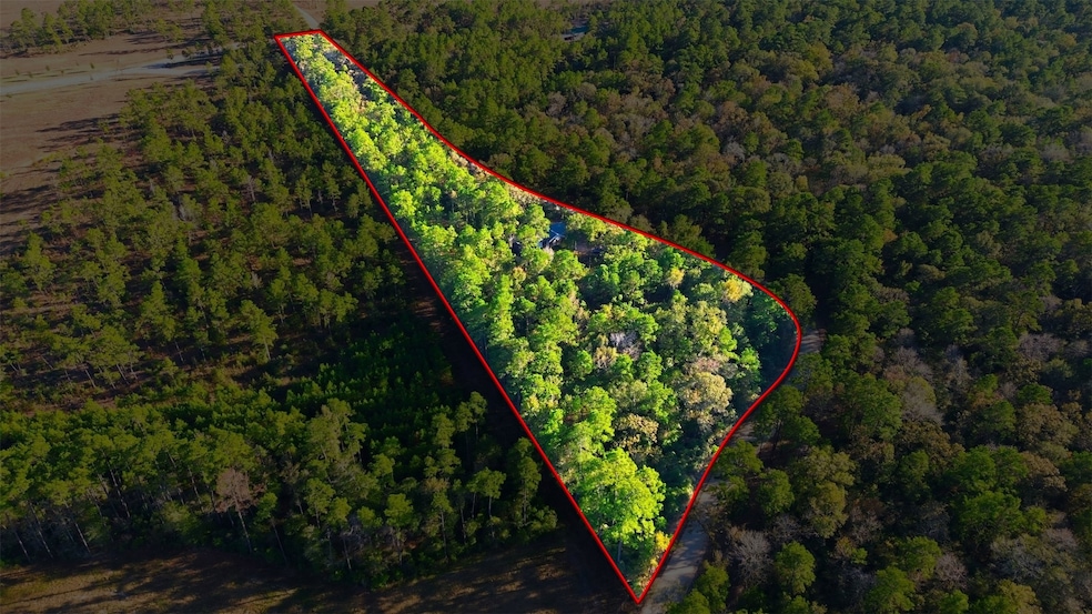 525 Bill Hales Rd, Willis, TX 77378 - photo 1