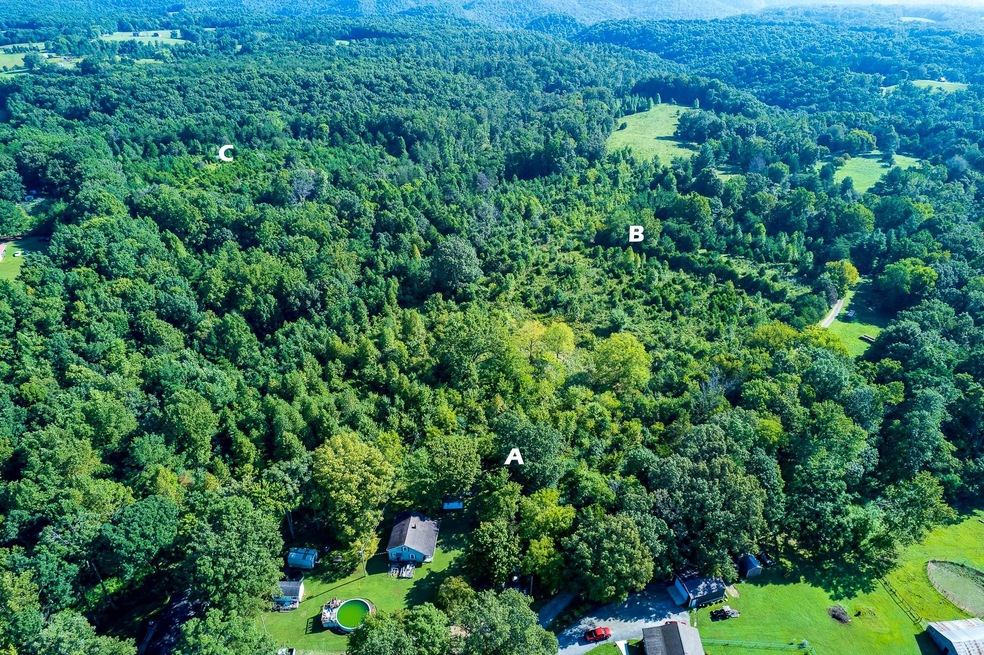 0 50 Ac Smith Ln, Cookeville, TN 38501 - photo 1