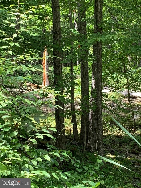 906 Ithaca, Winchester, VA 22601 - photo 1