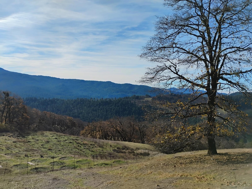 11 Bronco Ct, Dinsmore, CA 95526 - photo 1