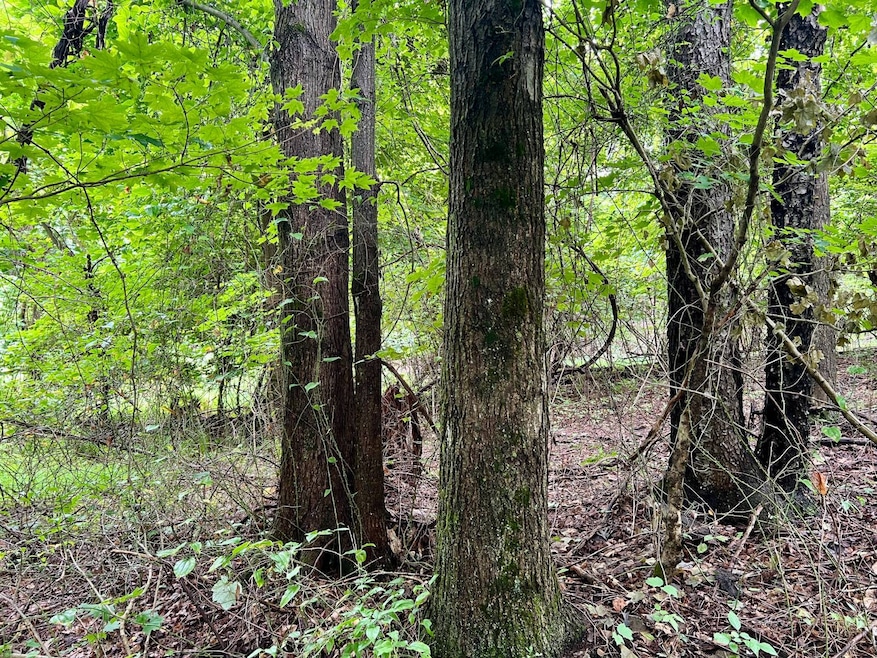 0 Benjamin Franklin Hwy, Ebensburg, PA 15931 - photo 1