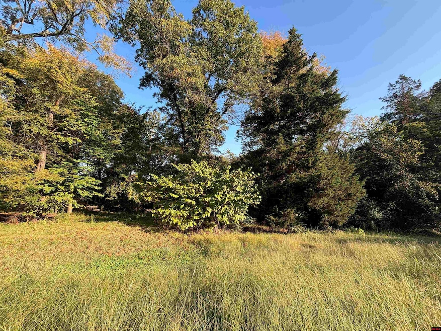 004-00426-001 Harding Blvd, Cotter, AR 72626 - photo 1