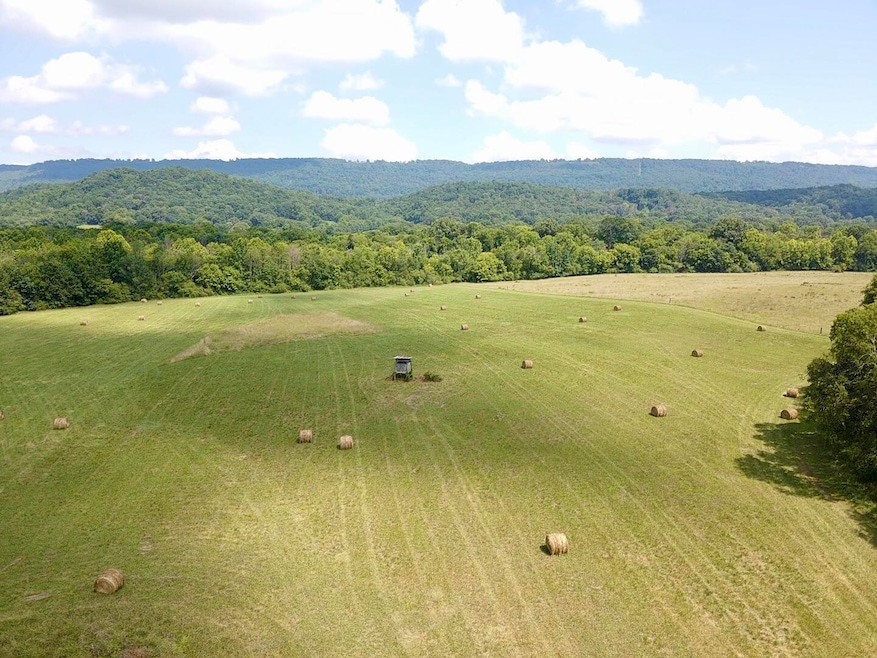 0 County Road 494, Bryant, AL 35958 - photo 1