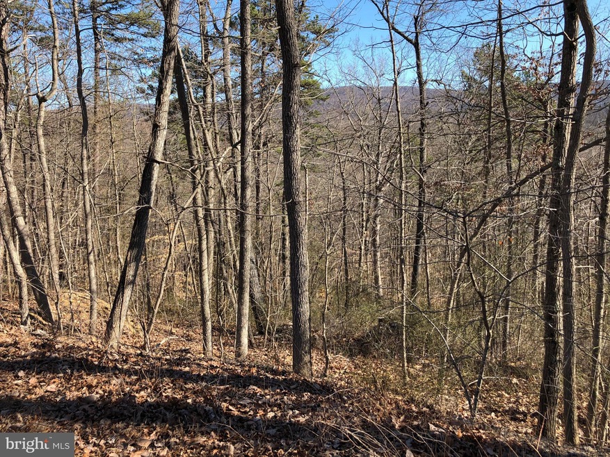 0 Old Oregon Rd unit VAWR139916, Front Royal, VA 22630 - photo 1