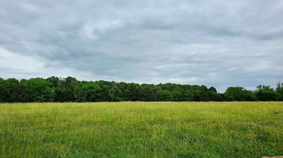 Lot 11 Pleasant View Rd, Brighton, MO 65617 - photo 1