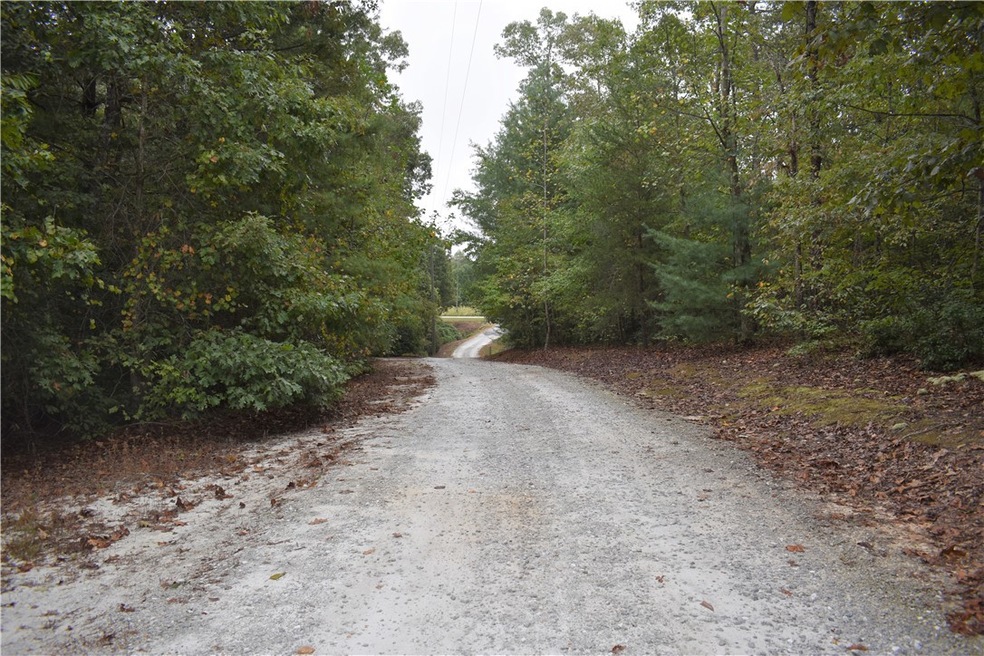 00 Coyote Ridge, Walhalla, SC 29691 - photo 1