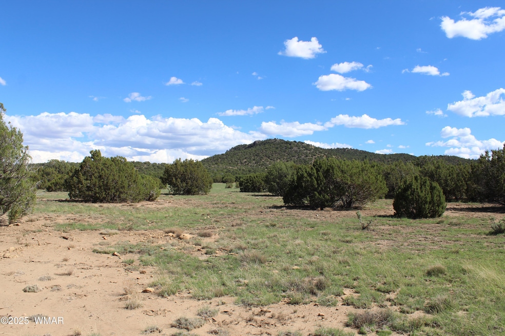10 3044, Concho, AZ 85924 - photo 1