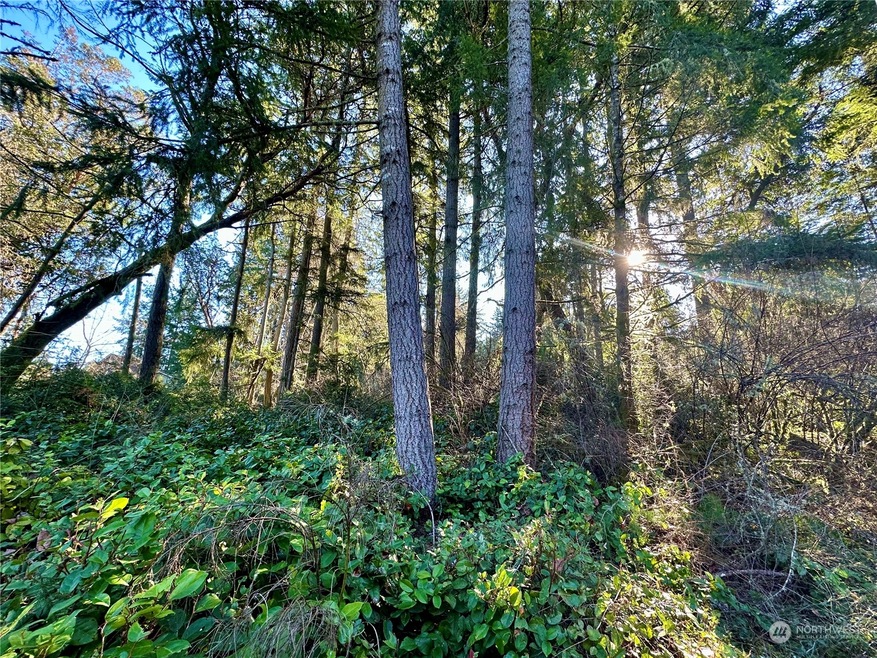 10113 Selma Cir, Anderson Island, WA 98303 - photo 1