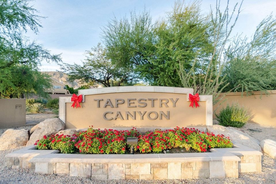 Tapestry Canyon