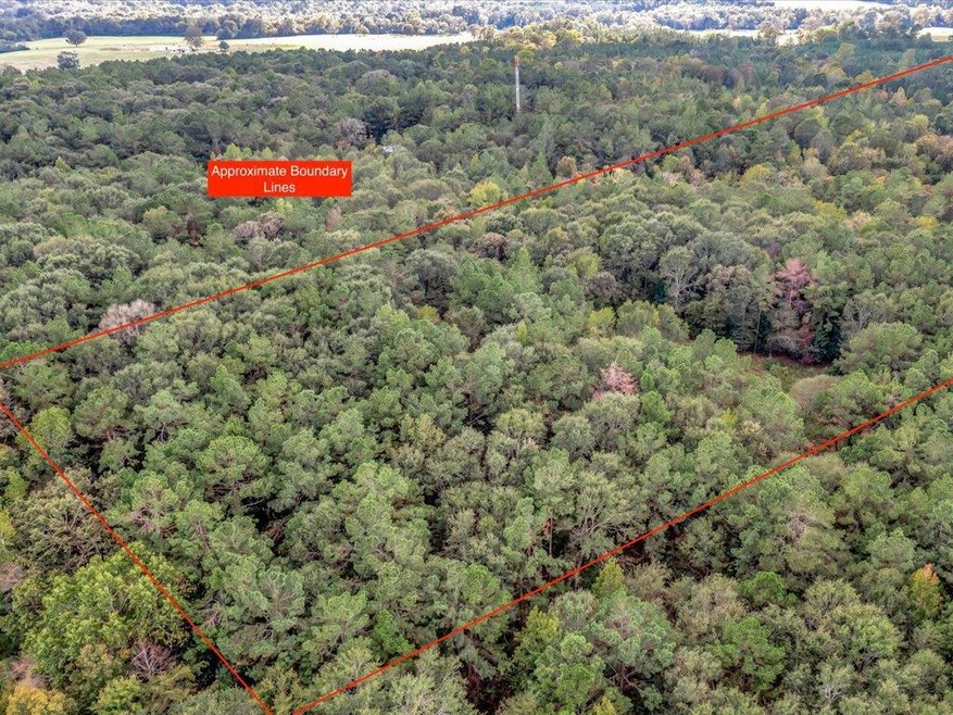 TBD County Road 711, Nacogdoches, TX 75964 - photo 1