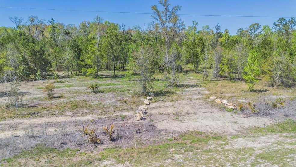 0 SW Highway 361, Steinhatchee, FL 32359 - photo 1