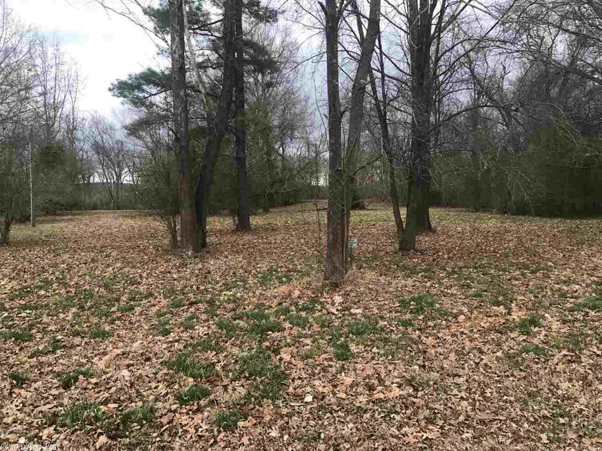 Lot 013 Riverland, Heber Springs, AR 72543 - photo 1