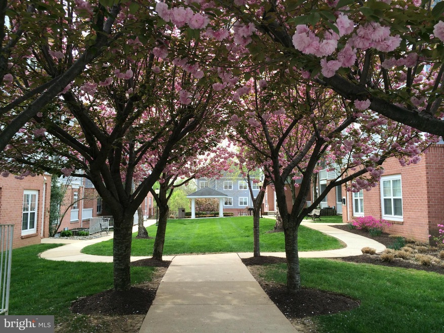 9209 Groffs Mill Dr unit 9209, Owings Mills, MD 21117 - photo 1