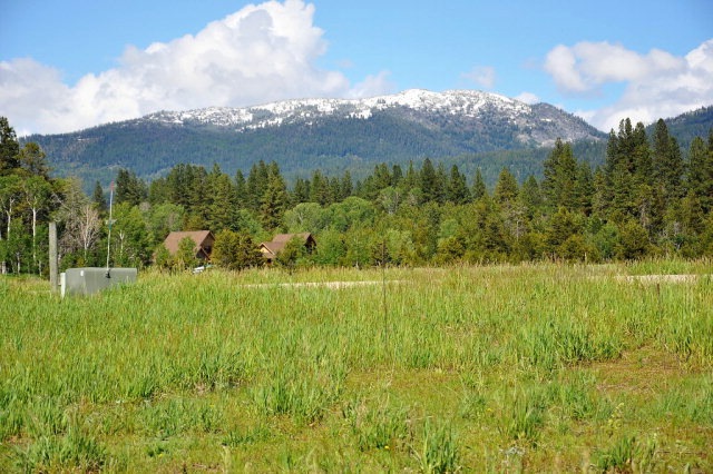 Main View