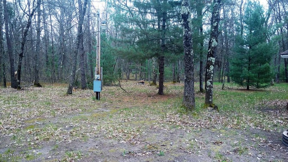 3138 S Woodin Dr, Baldwin, MI 49304 - photo 1