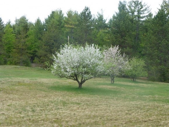 466 Oak Hill Rd, Enfield, NH 03748 - photo 1