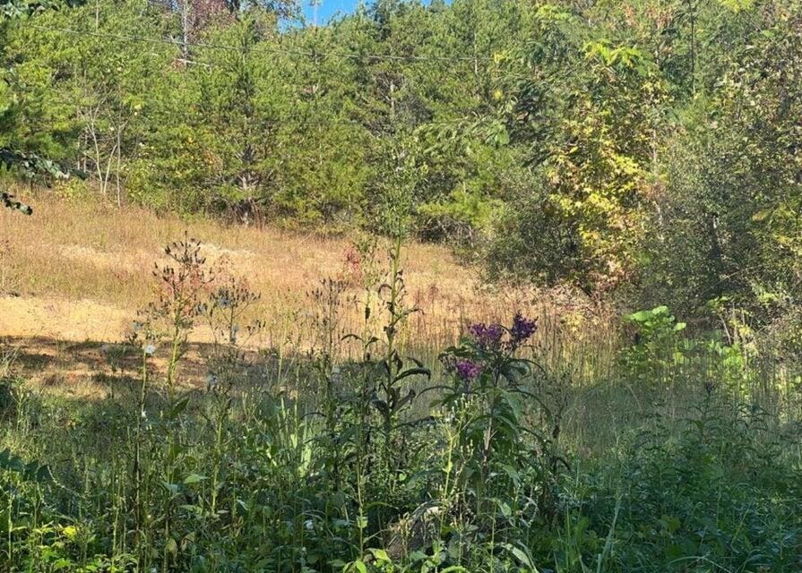 20240223224325456036000000-o