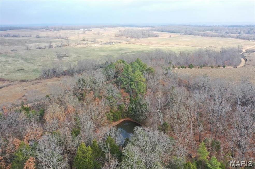 TBD Minorca Rd, Datto, AR 72444 - photo 1