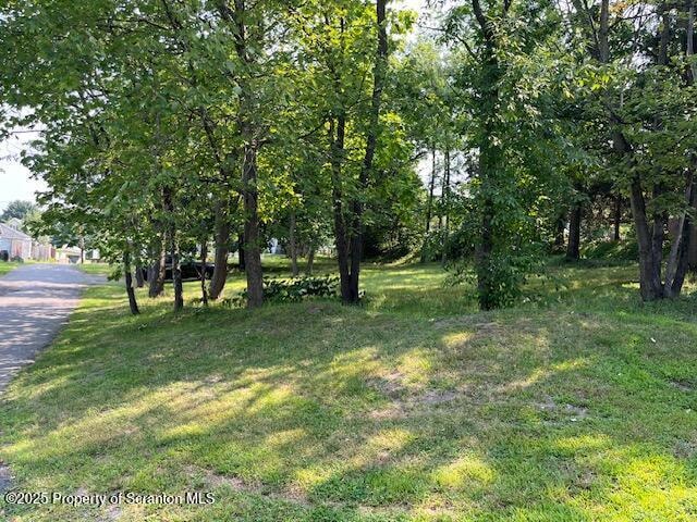 95B631A0-DD96-4CED-88F4-DA2B9EF25800