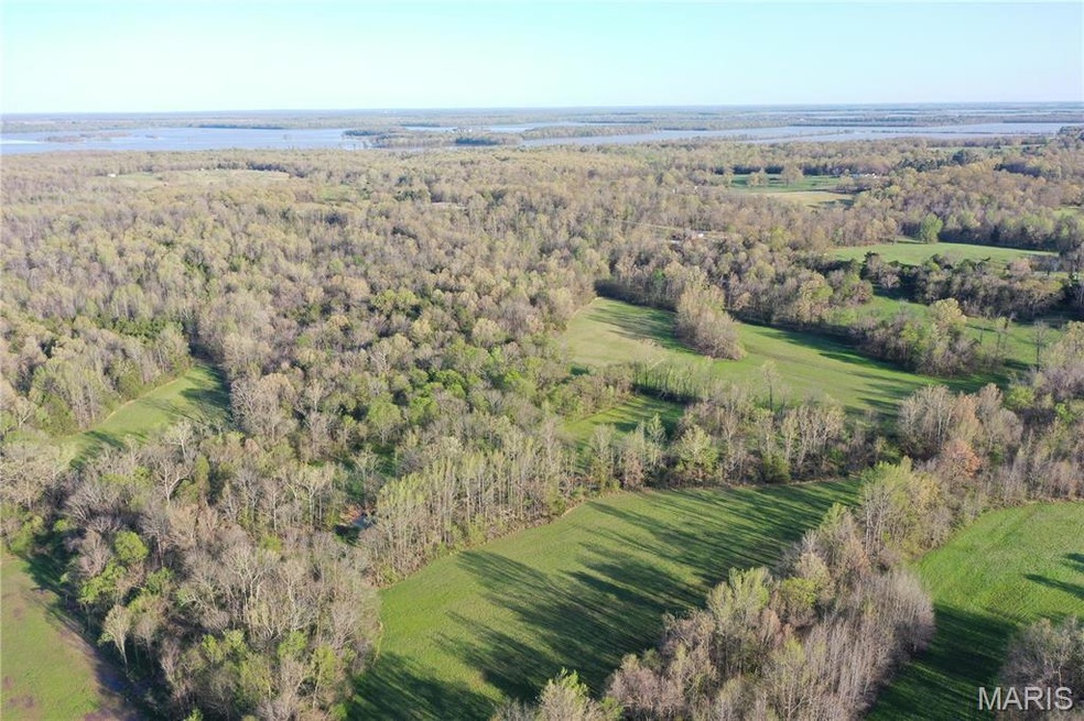 0 Engelberg Rd unit MIS25023089, Pocahontas, AR 72455 - photo 1