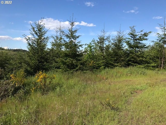 0 Old Military (Front) Rd unit 22329948, Dallas, OR 97338 - photo 1