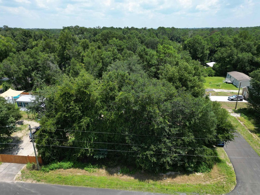 0 Concord Rd unit 361729, Crawfordville, FL 32327 - photo 1