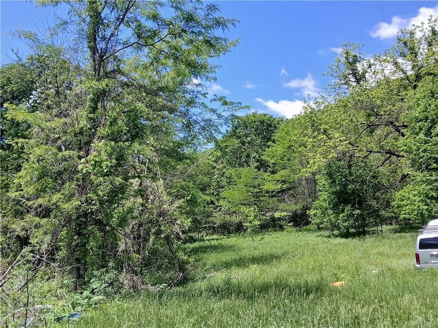 642 County Road 605, Green Forest, AR 72638 - photo 1