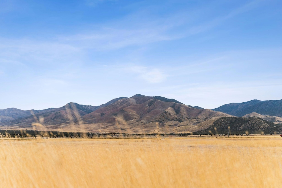 1565 W Sunflower Ln, Fillmore, UT 84631 - photo 1