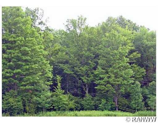 W3010 Town Line Rd, Glen Flora, WI 54526 - photo 1