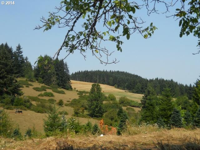 37909 S Bird Rd, Molalla, OR 97038 - photo 1