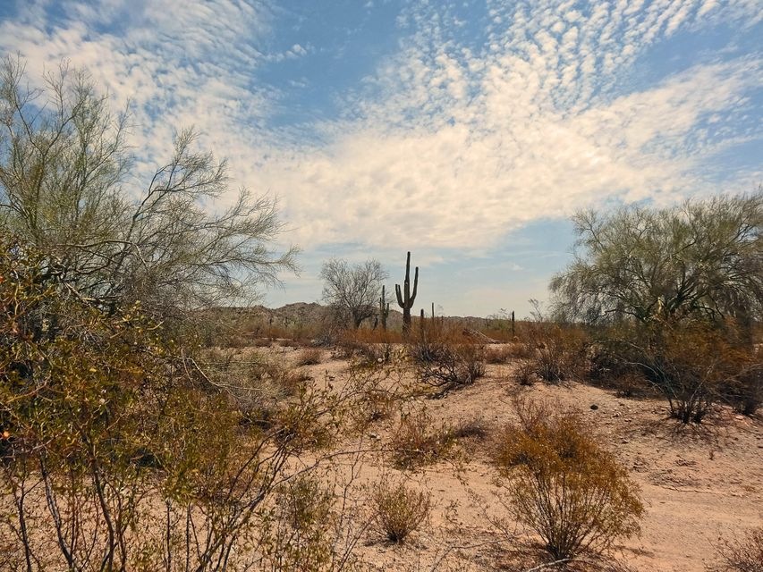 Welcome Home to San Tan Ranches!