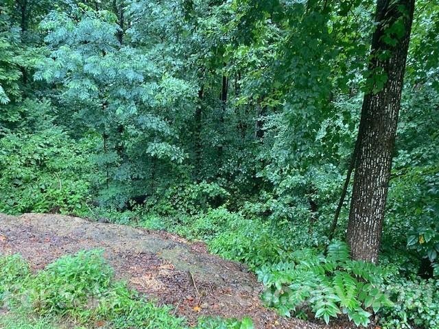 000 Robinhood Loop unit 18, Statesville, NC 28625 - photo 1