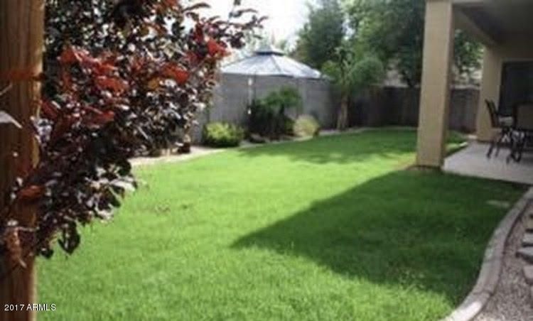 backyard1