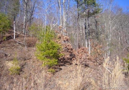 House Site