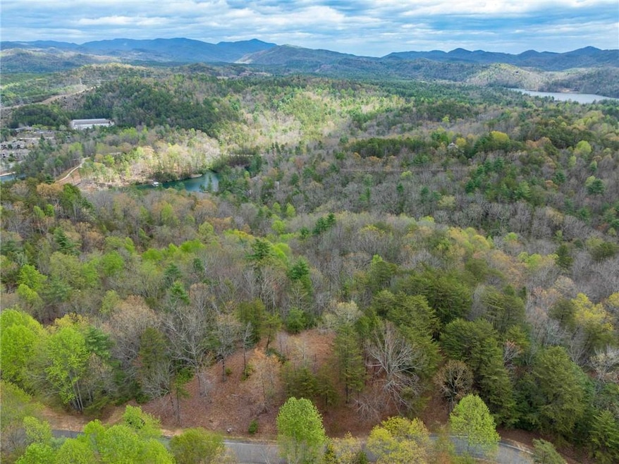 DRONE VIEW