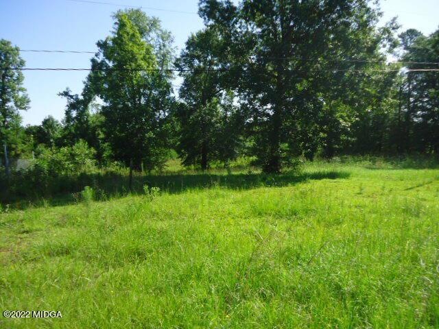 DSC04338