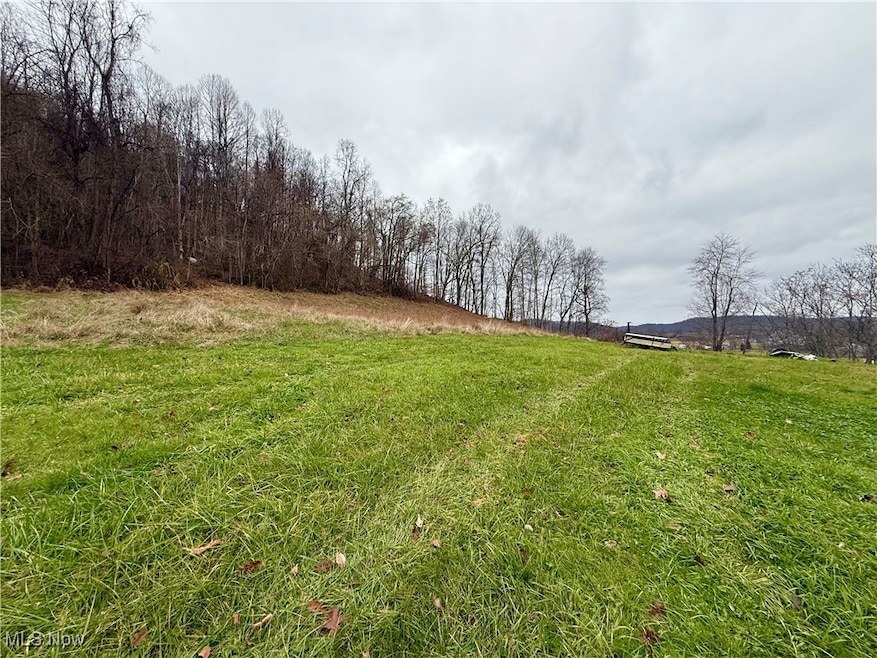 0 S Pleasants Hwy, Saint Marys, WV 26170 - photo 1