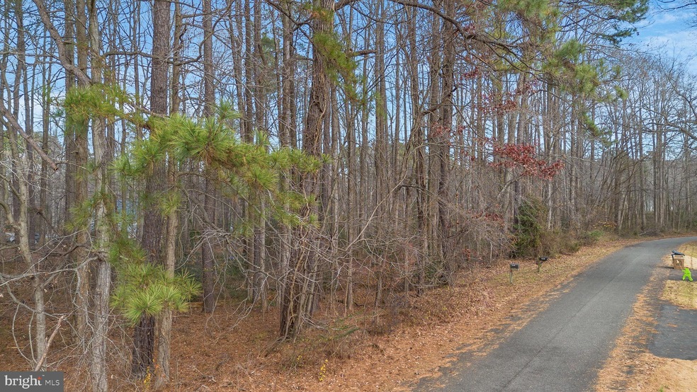 0 Scott Cir unit MDSM2016488, Mechanicsville, MD 20659 - photo 1