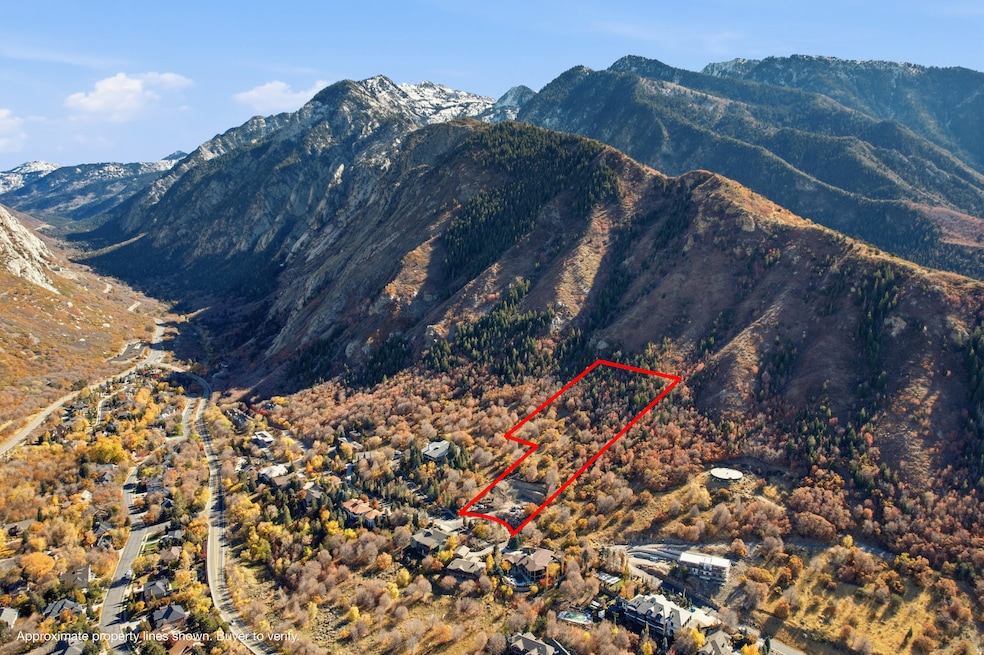 Mountain view. property boundaries highlighted