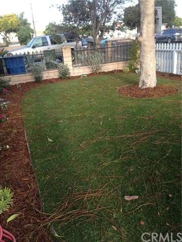 Landscaped front yard