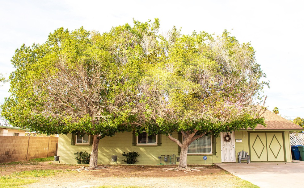 1360 E Nielson - HousePicts-2