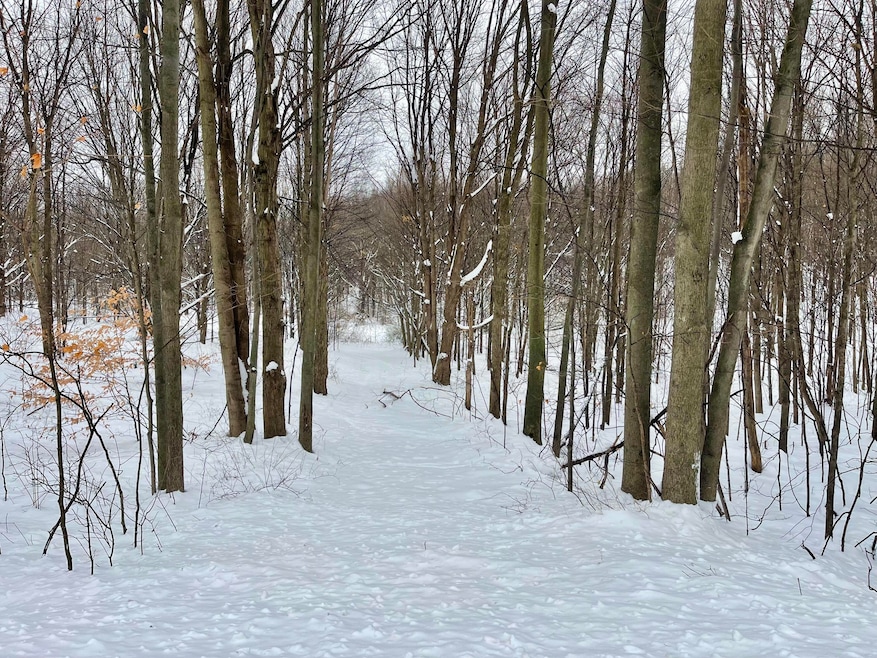 VL W Grant Rd, Shelby, MI 49455 - photo 1