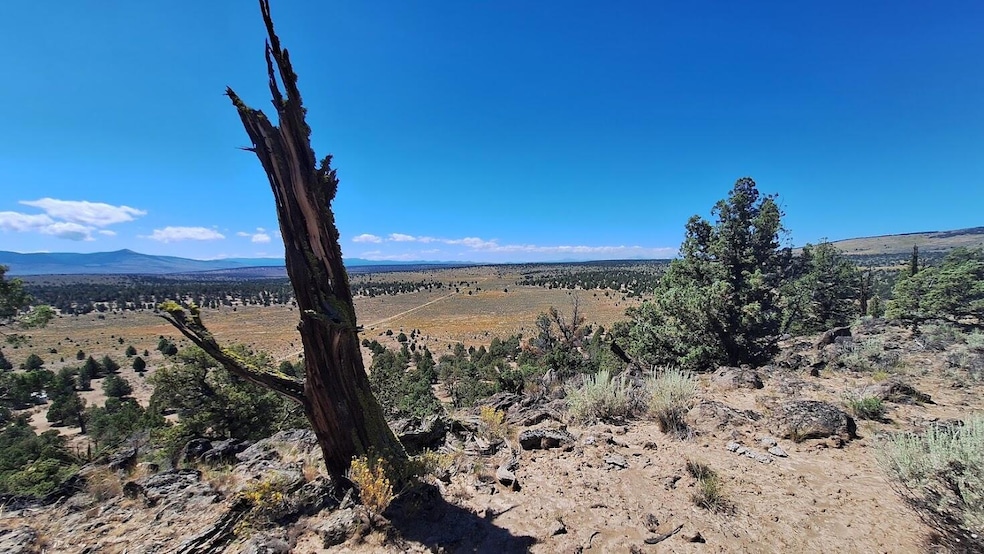 For Sale $65,000 • Co-Listing Agent