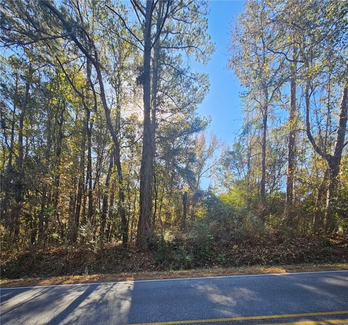 N/A Sanders Rd, Alexander City, AL 35010 - photo 1
