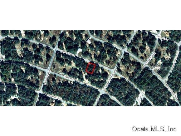 0 Fisher Way Dr unit 518092, Ocklawaha, FL 32179 - photo 1