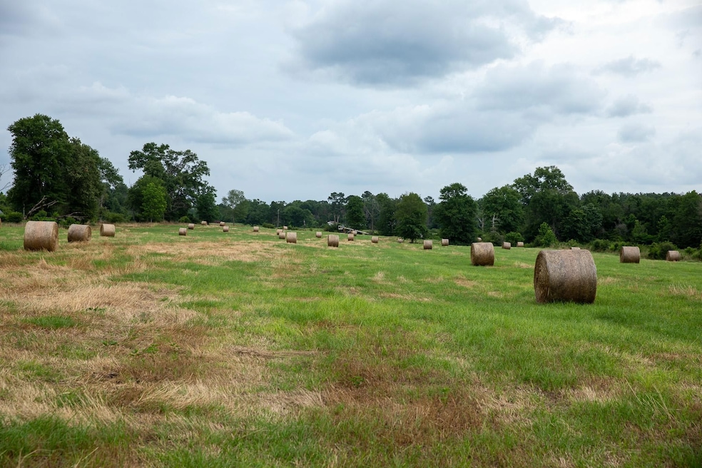 0 Sam Durr Rd, Prentiss, MS 39474 - photo 1