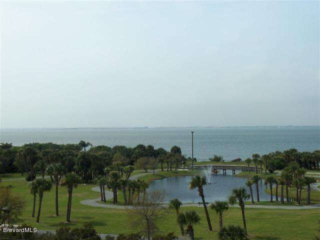 Bayside 501