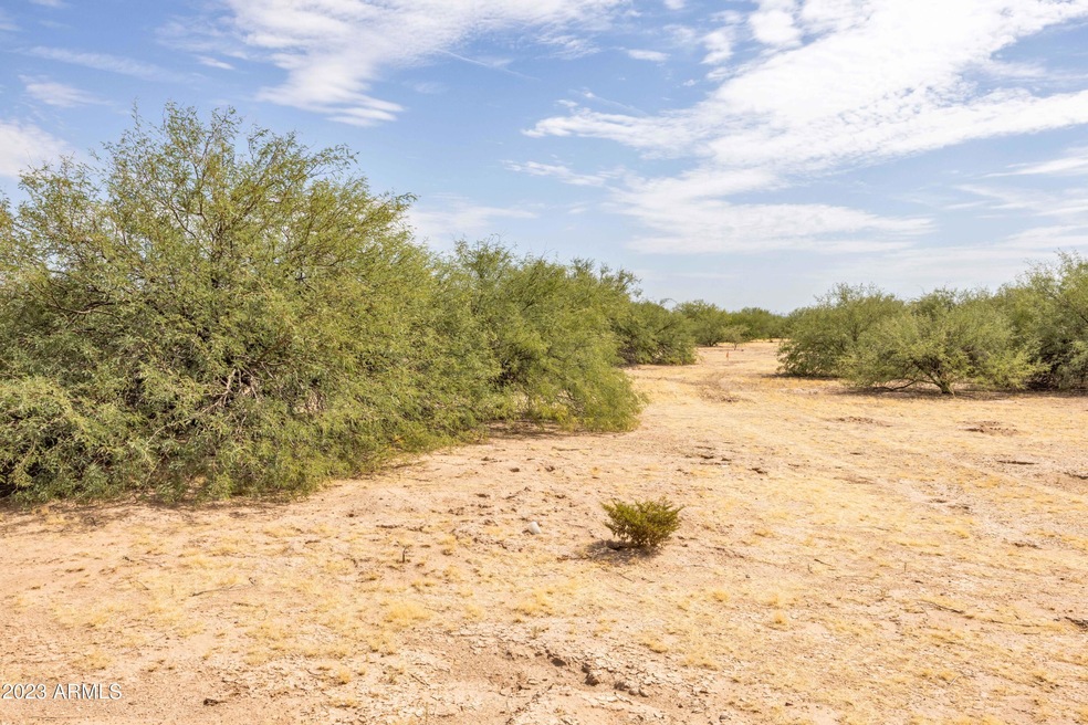 Sold $6,667 • Co-Listing Agent