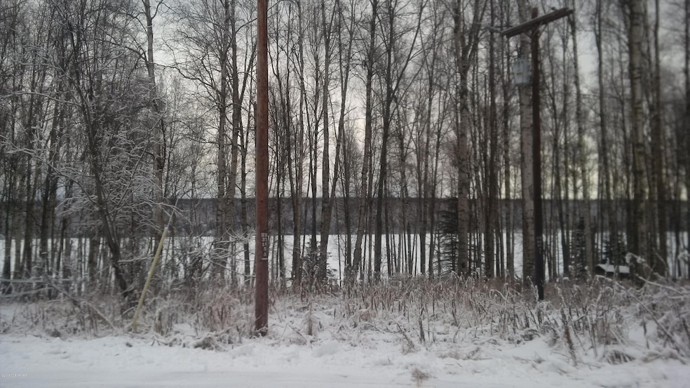 Cheri Lake view