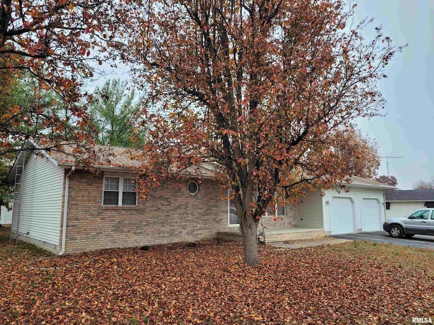 469 Main St, Radom, IL 62876 - photo 1